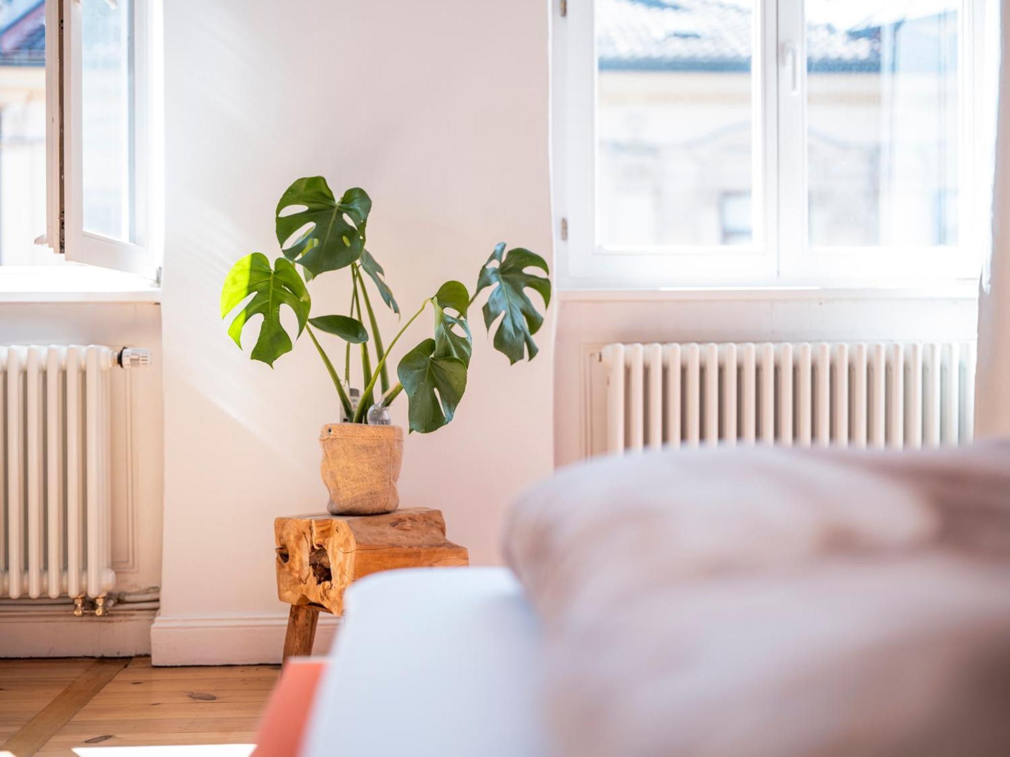 Bunter Hund Apartments - Balkon, Zentral, Geraeumig Bamberg Dış mekan fotoğraf